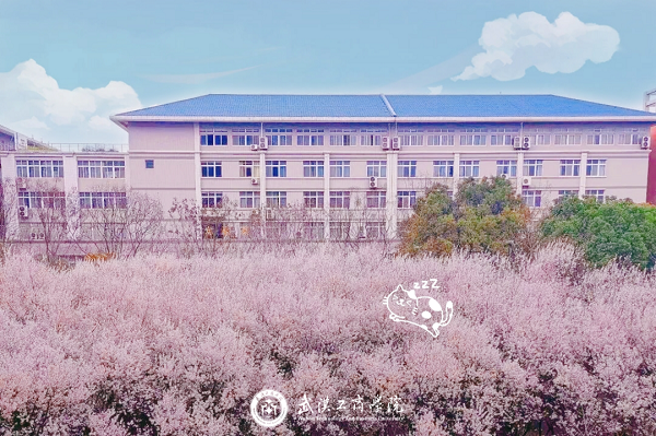 櫻花校園
